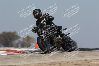 media/Mar-24-2025-2WTD (Mon) [[55b4b08488]]/C Group/1140am (Outside Grapevine)/